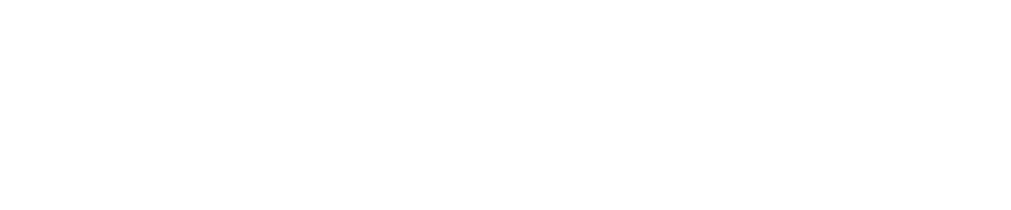 Bernhard Aichner Signatur Logo
